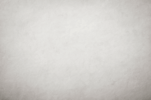 Ein strukturierter weißer Hintergrund, der an leicht zerknittertes oder gebürstetes Papier erinnert, mit subtilen Grautönen und weichen, ungleichmäßigen Schattierungen, die das zeitlose Gefühl eines historischen Porträt-Hintergrunds hervorrufen. | adelstitel-kaufen.com