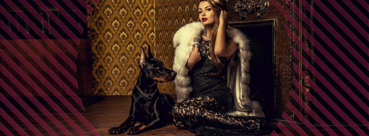 Eine Frau in einem eleganten schwarzen Spitzenkleid und weißem Pelzmantel sitzt auf dem Boden neben einem Dobermann vor einer goldgemusterten Wand und einem verzierten Kamin. Diagonale dunkle Streifen überlagern das Bild - ein Luxus, der an Adelstitel kaufen - Minerva Orden erinnert. | adelstitel-kaufen.com